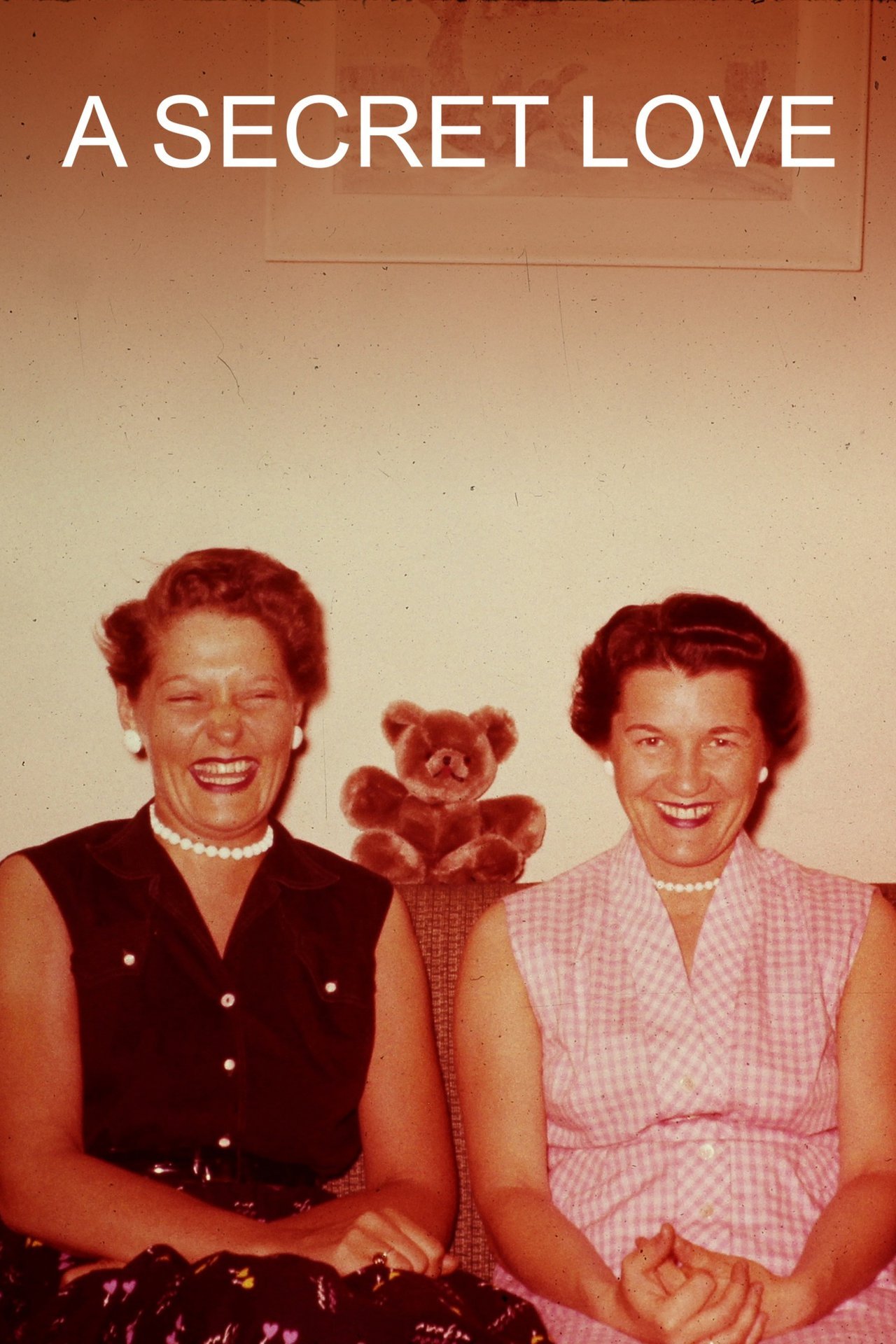 A Secret Love (2020) [374179] (A1750733928) [[Movies]] --Plex--